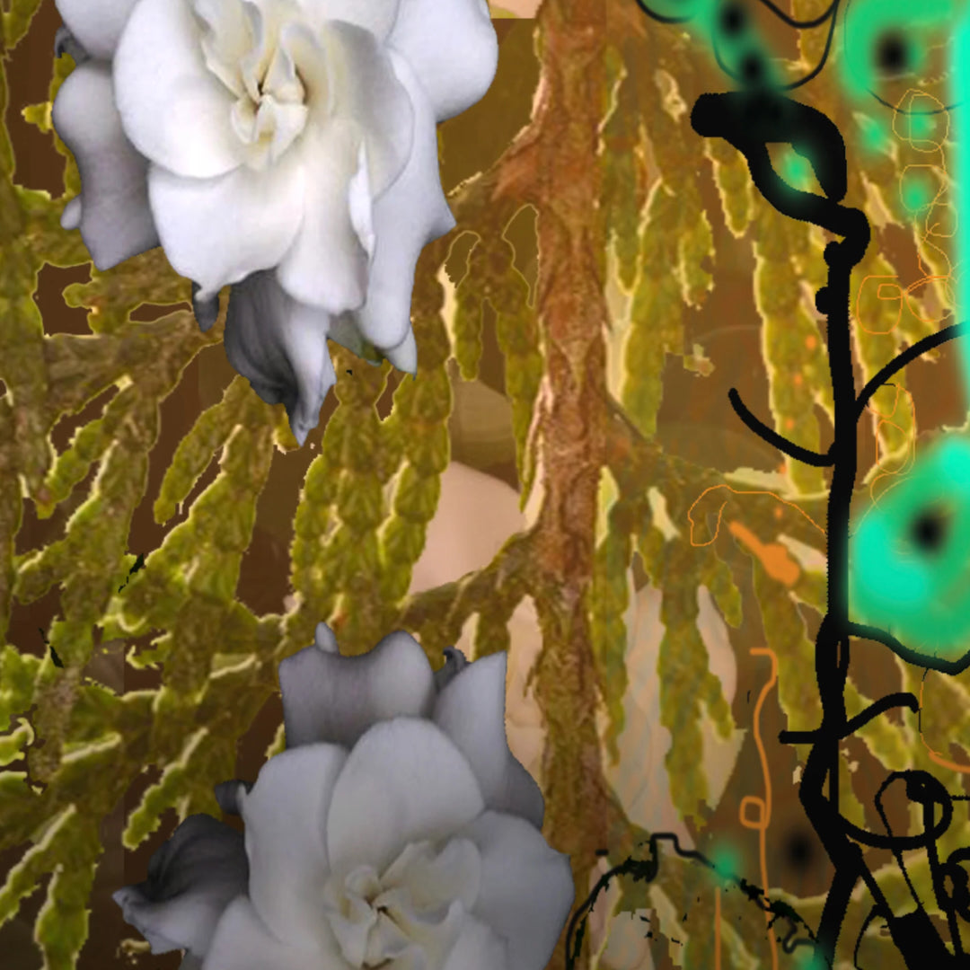 Jade Vines